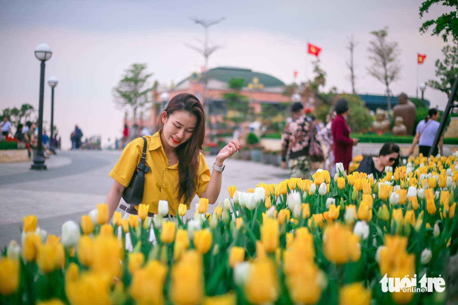 Ngắm hoa tulip nở rộ trên núi Bà Đen - Ảnh 1.