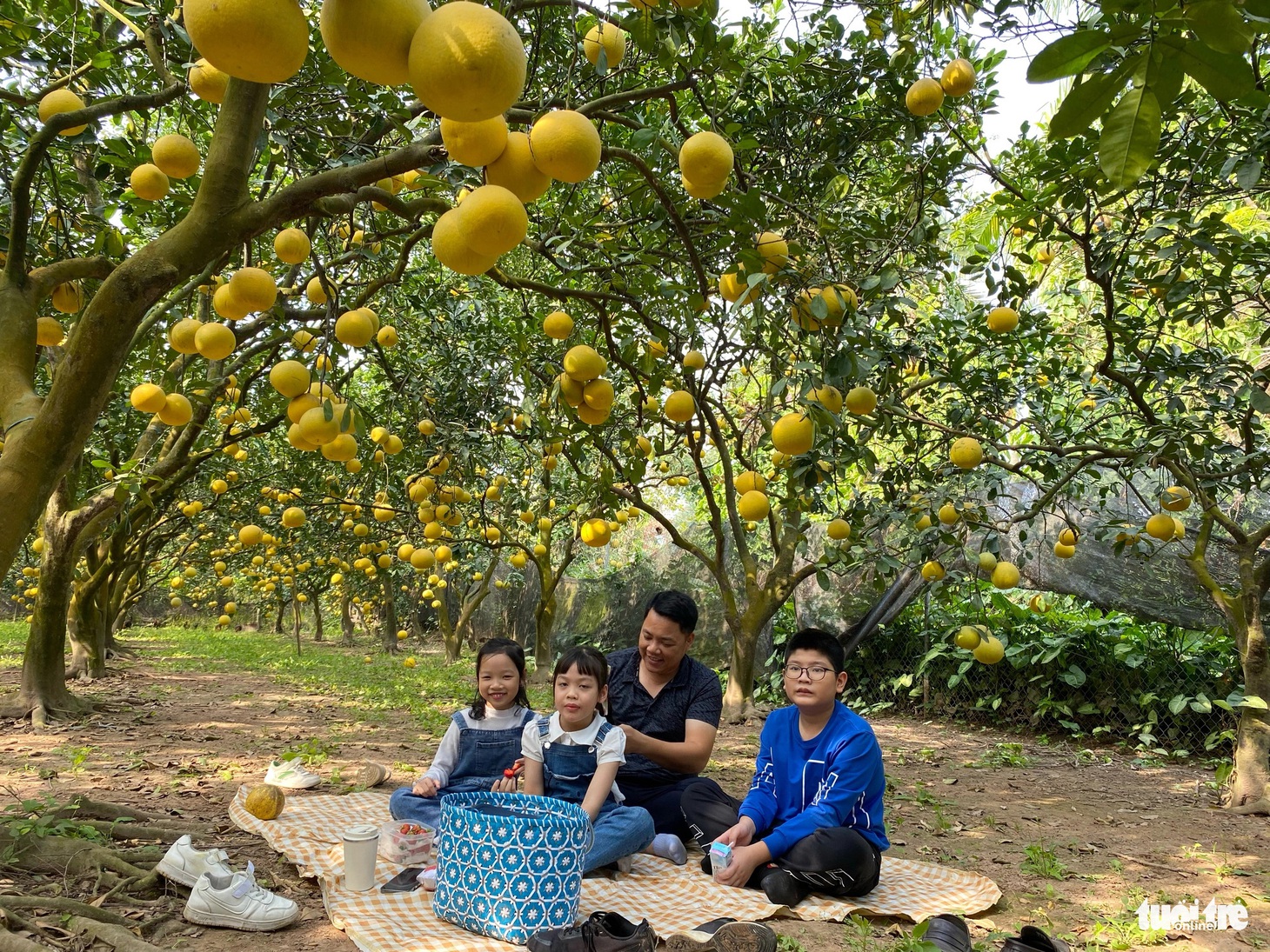 Không gian xanh mát tại đây cũng phù hợp cho những chuyến picnic nhỏ của các gia đình -  Ảnh: NGUYỄN HIỀN