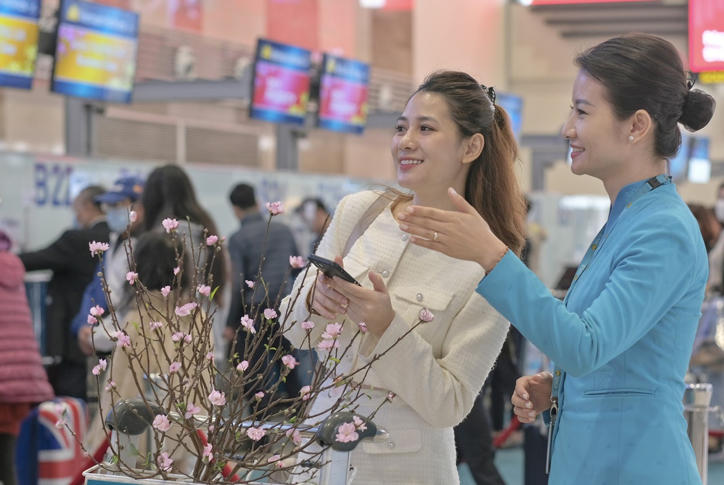 Hoa đào chuẩn bị lên máy bay