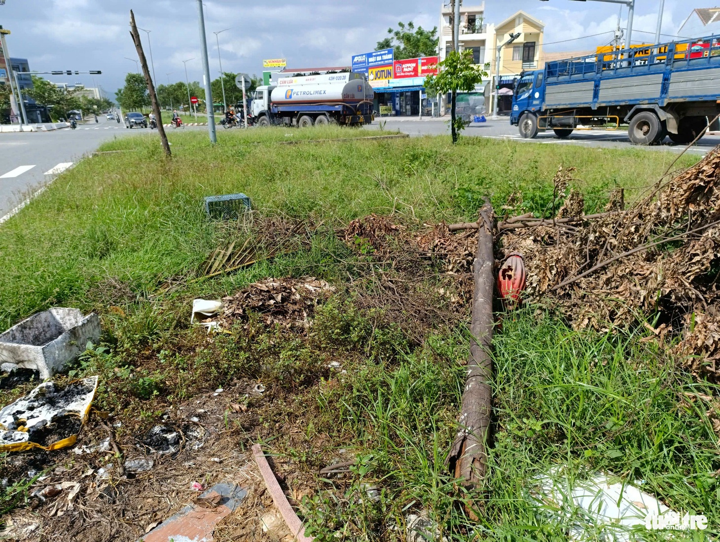 Cận cảnh cây xanh chết khô, trụi lủi như củi khô trên đường trăm tỉ ở Đà Nẵng - Ảnh 7.