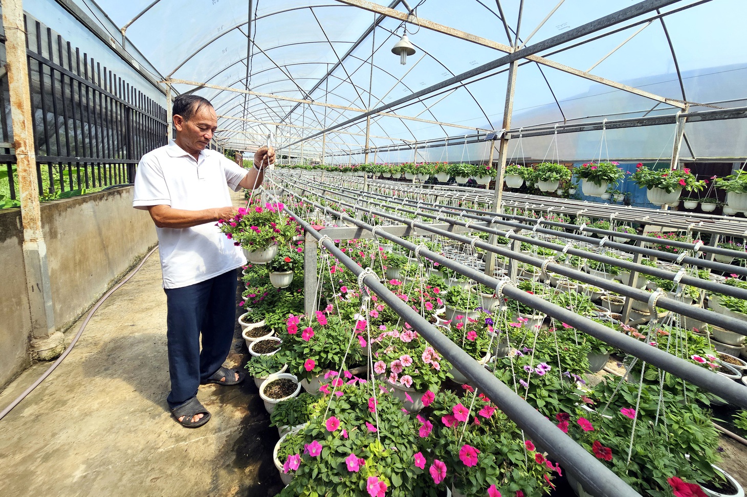 Xây nhà tạm làm nông nghiệp: Trúng nhu cầu nhưng tránh biến tướng - Ảnh 1.