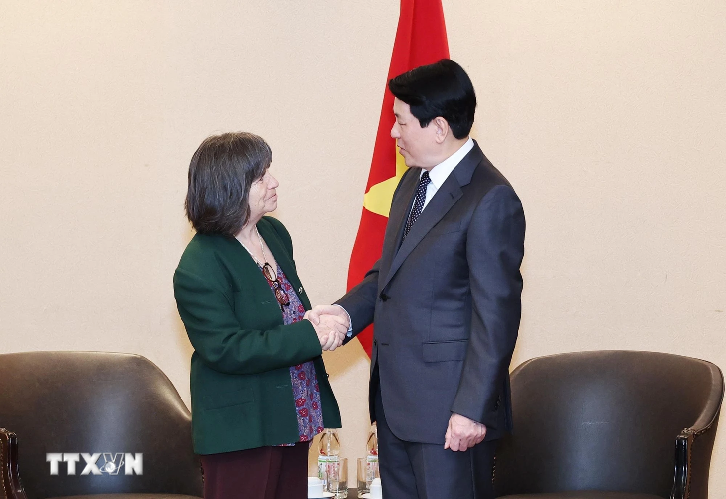 Chủ tịch nước Lương Cường gặp người phụ nữ từng đi bộ hàng trăm cây số vì Việt Nam - Ảnh 1.
