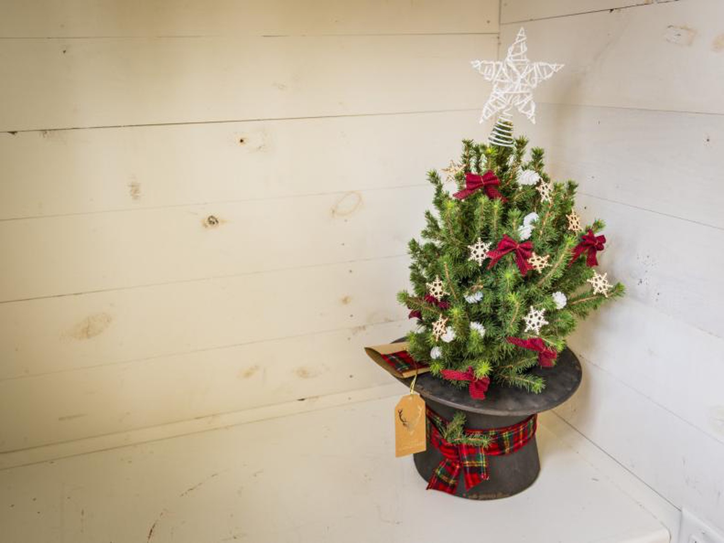 10 ý tưởng dễ dàng để trang trí cây thông Noel để bàn - Ảnh 8.