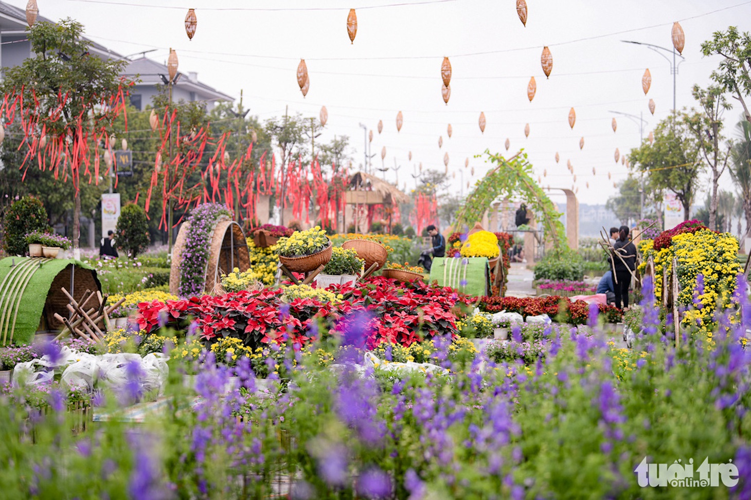 Không gian ngập sắc hoa tại đường hoa Home Hanoi Xuan 2024 hứa hẹn sẽ là điểm đến được yêu thích trong Tết này - Ảnh: NAM TRẦN