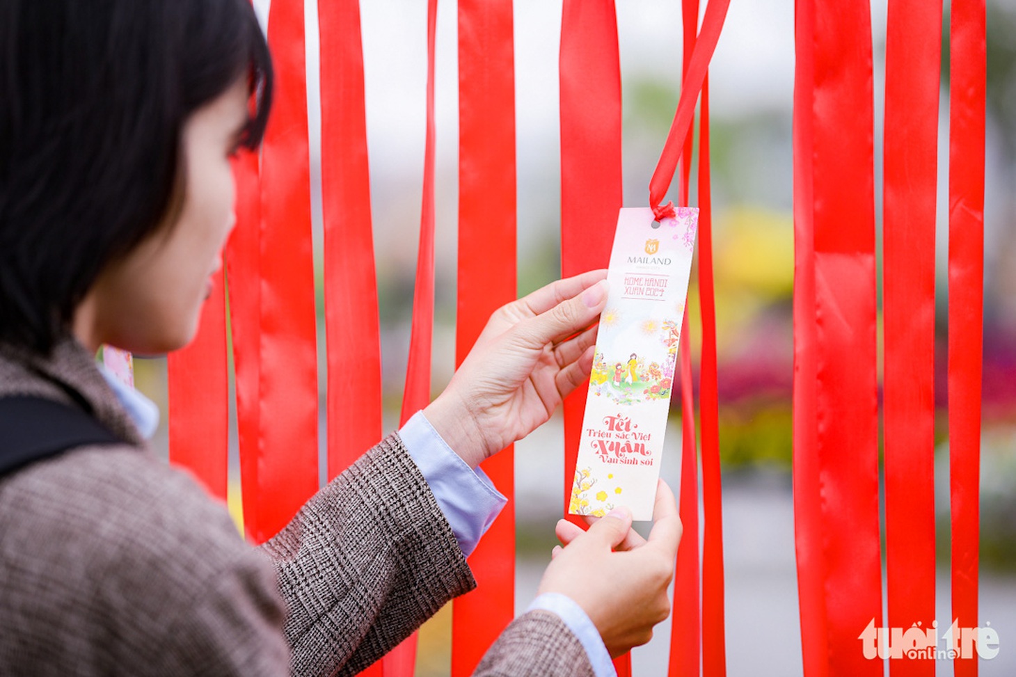 Đến với đường hoa Home Hanoi Xuan 2024 để tận hưởng hết hương vị Tết ba miền - Ảnh: NAM TRẦN