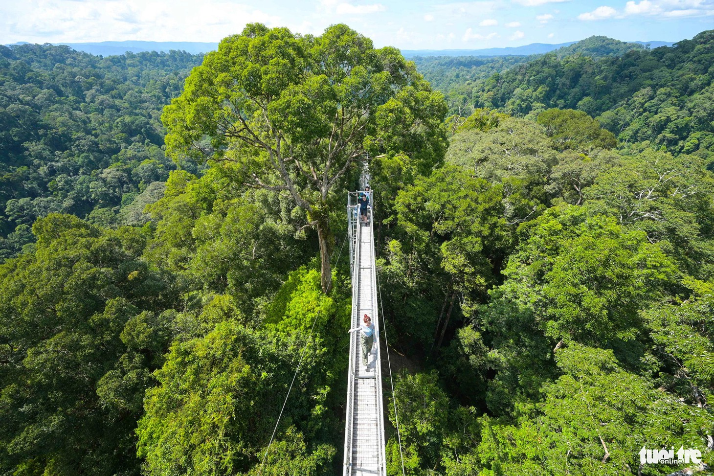 Công viên quốc gia Ulu Temburong ở Brunei rộng đến 550km2