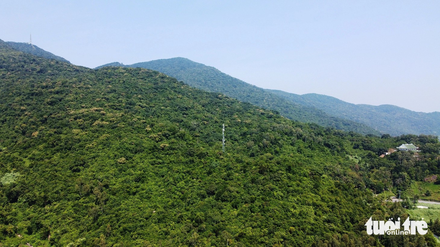 Những ‘lá phổi xanh’ trong lòng Đà Nẵng - Ảnh 1.