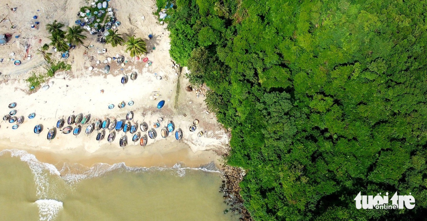 Những ‘lá phổi xanh’ trong lòng Đà Nẵng - Ảnh 7.