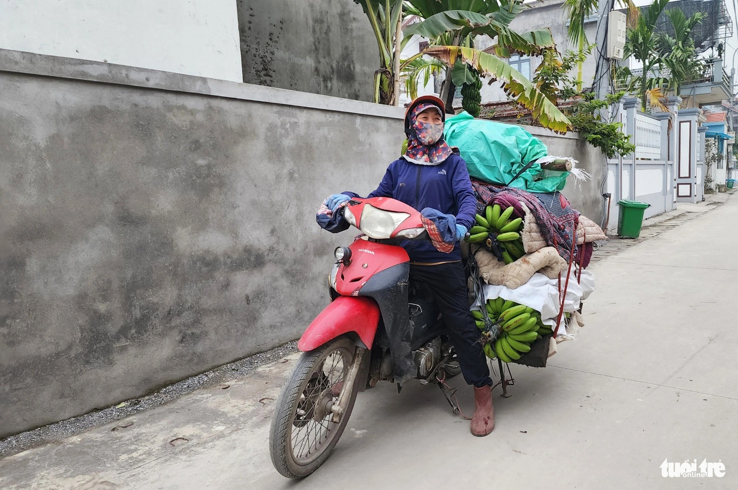 Thương lái phấn khởi vì mua được chuối những ngày Tết gần kề - Ảnh: T.THẮNG