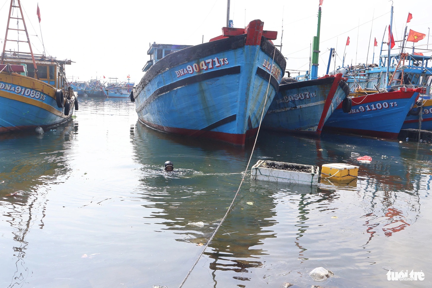 Ngụp lặn dưới nước - Ảnh: LÊ TRUNG