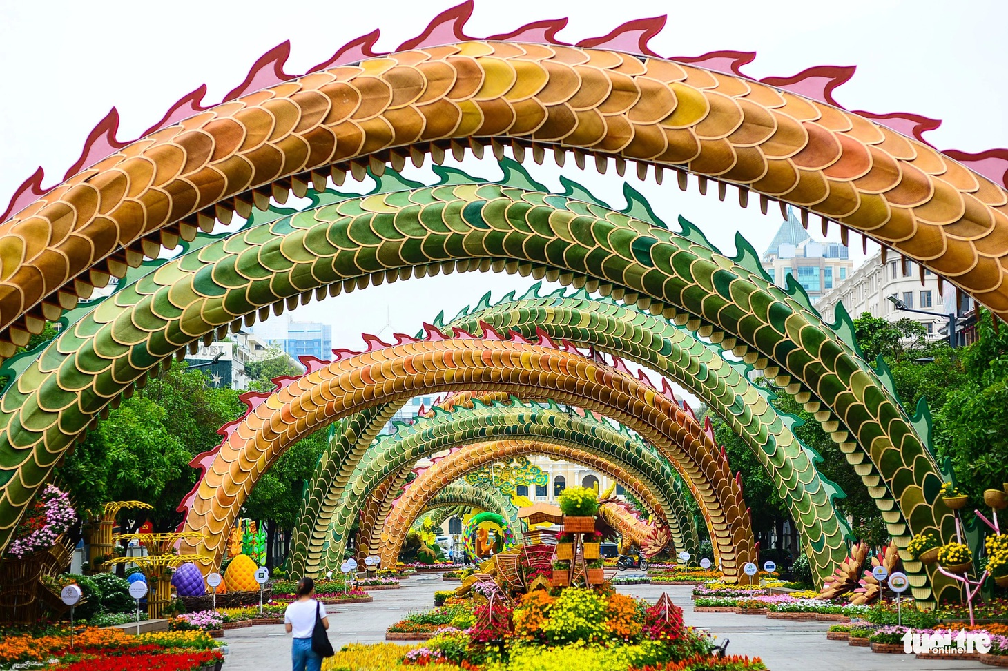 Khung cảnh đuôi rồng ôm lấy đường hoa, tạo chiều sâu và nét rực rỡ của đường hoa.