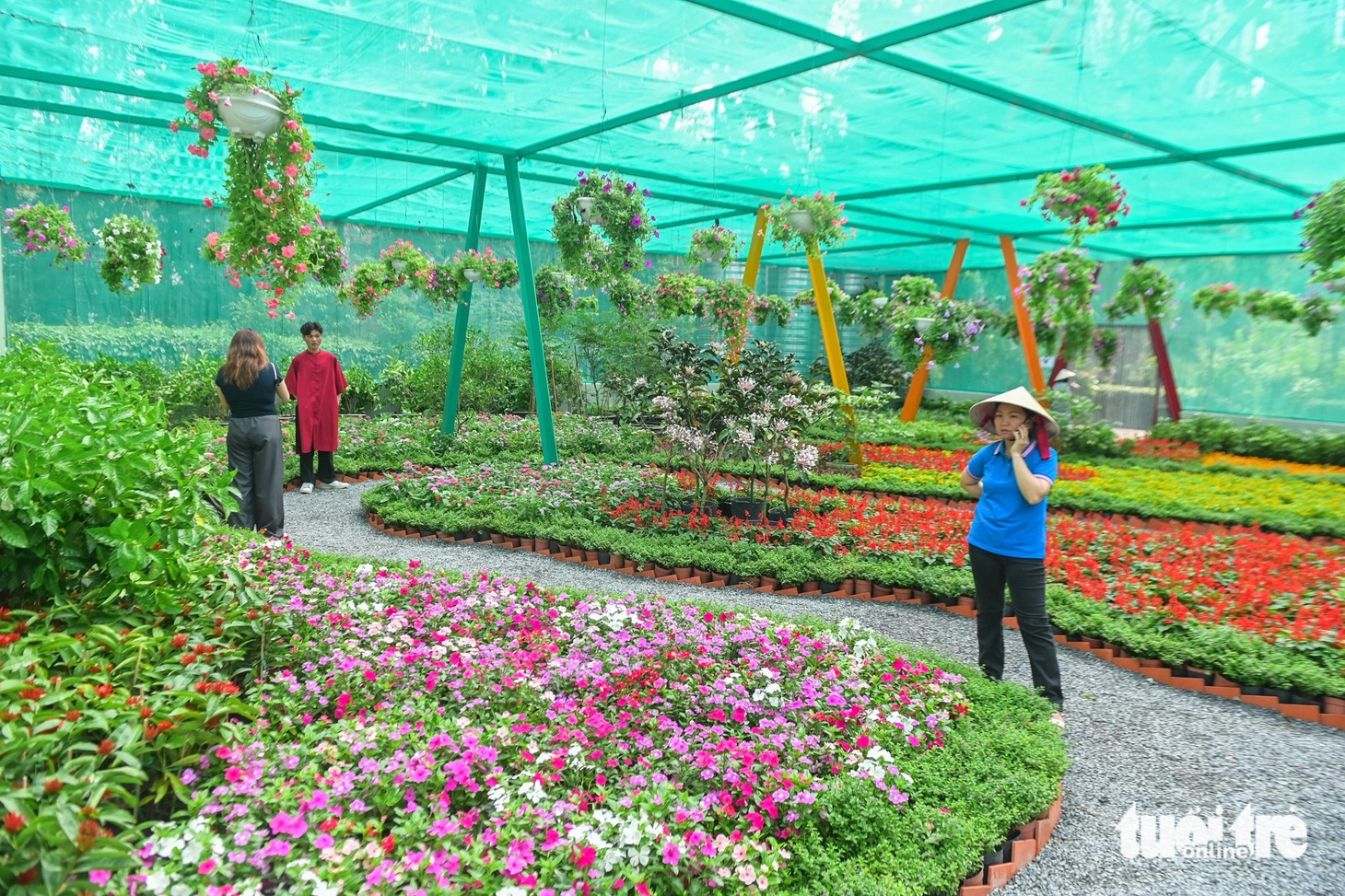 Sau thời gian cải tạo, sáng 27 Tết, vườn bướm có tổng diện tích gần 500m2 với gần 1.000 cá thể bướm chính thức mở cửa cho du khách tham quan - Ảnh: PHƯƠNG QUYÊN