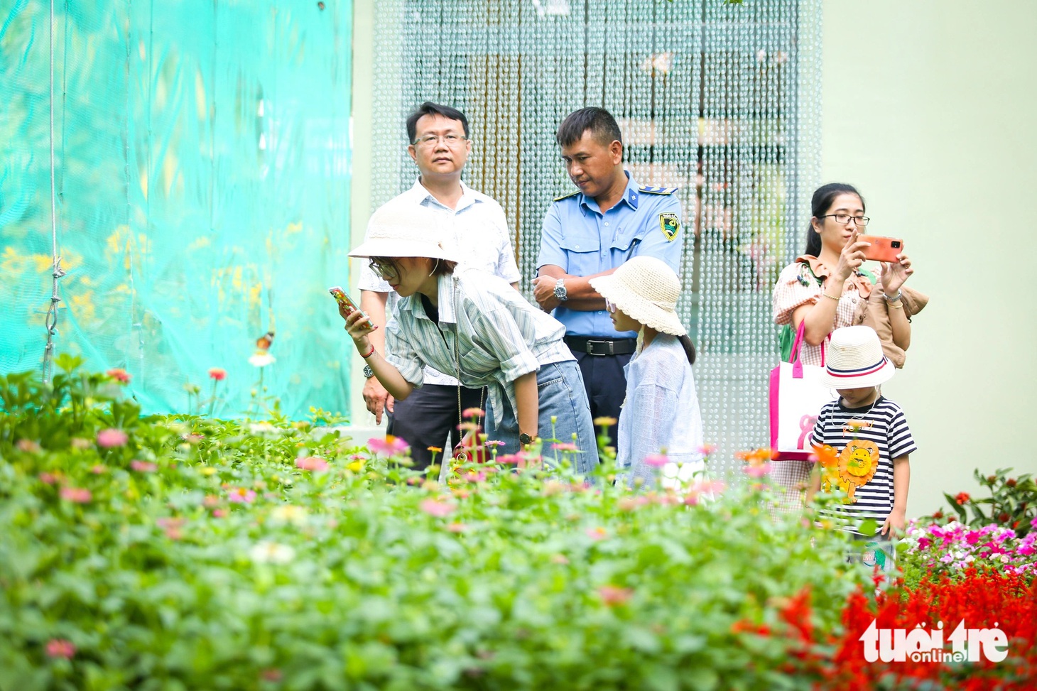 Chị Lan (nón trắng) dùng điện thoại để lưu lại những hình ảnh đẹp của các loài bướm để về nhà cho con gái xem - Ảnh: PHƯƠNG QUYÊN