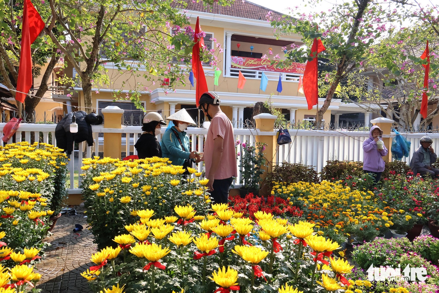 Năm nay lượng người mua hoa Tết ở chợ hoa Hội An ít hơn so với mọi năm - Ảnh: LÊ TRUNG