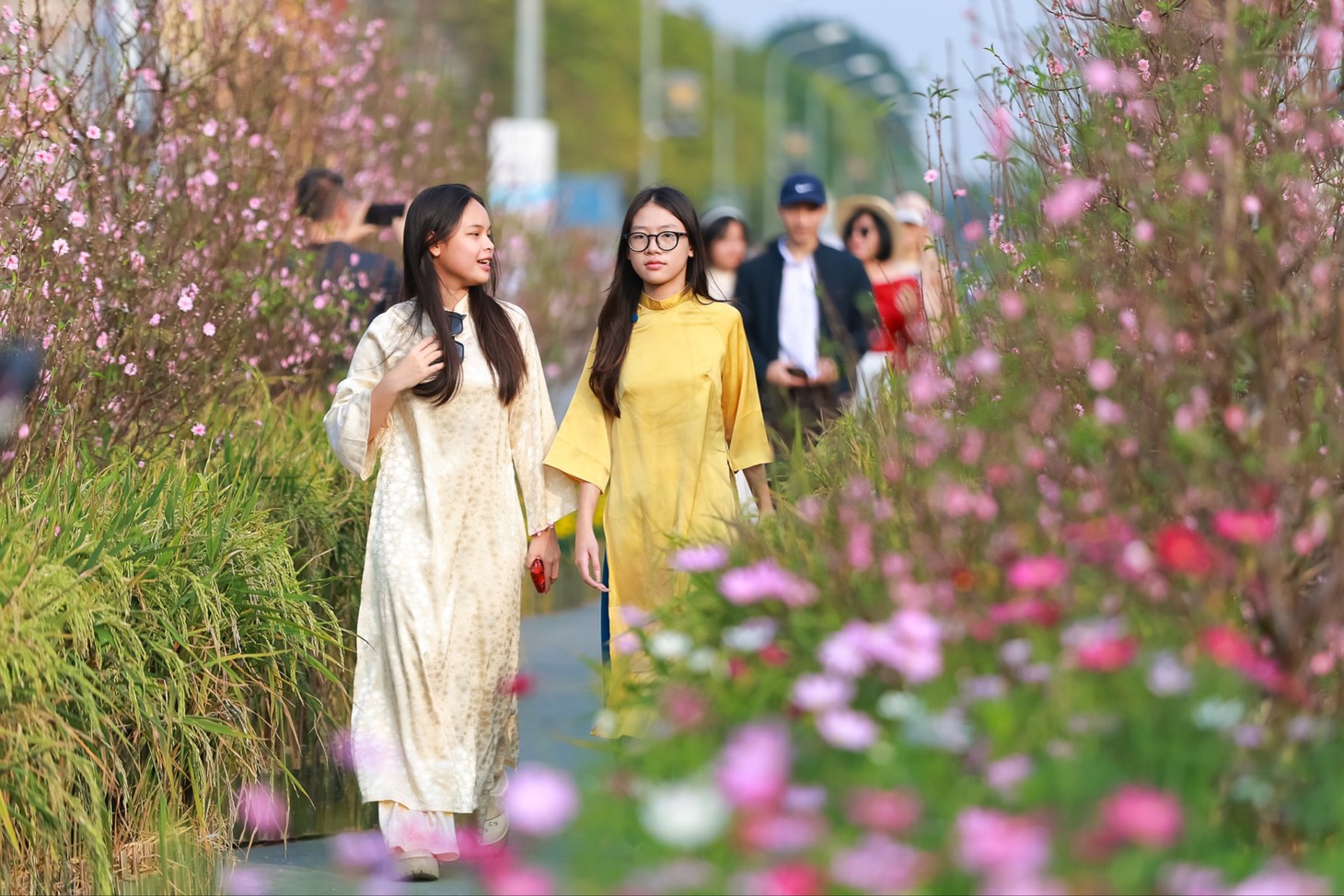 Triệu hương hoa, bùng sắc Tết tại đường hoa Home Hanoi Xuan 2024- Ảnh 1.