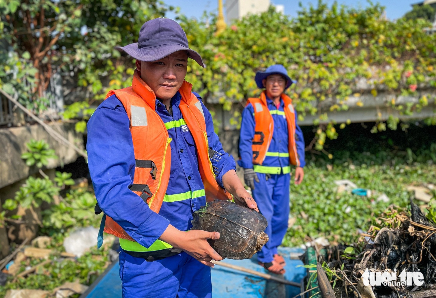Sáng nay, trong lúc thu gom rác trên kênh, các công nhân bất ngờ phát hiện 1 con rùa đang bò lổm ngổm trong đống rác&nbsp;