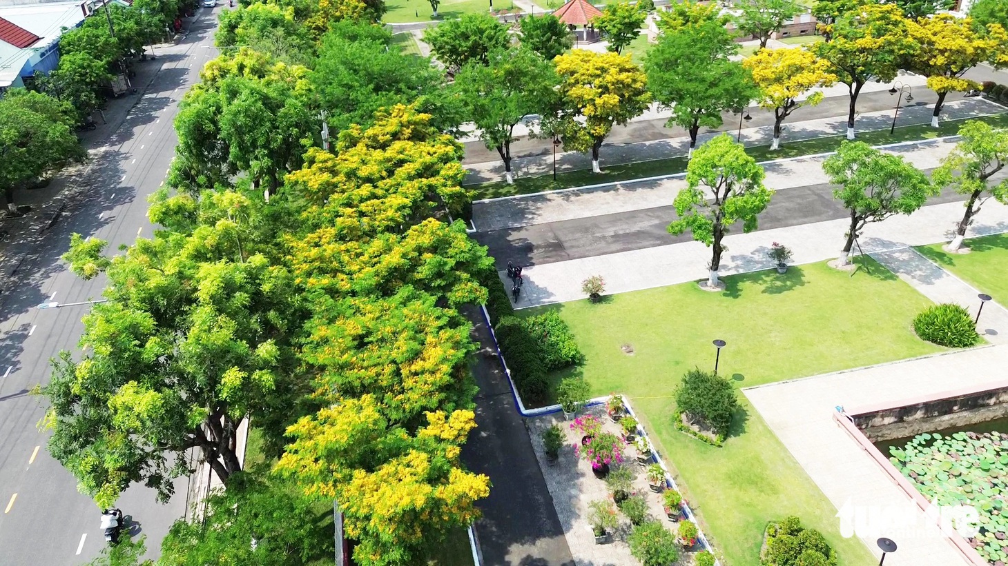 Và cả ở đường Trần Hưng Đạo