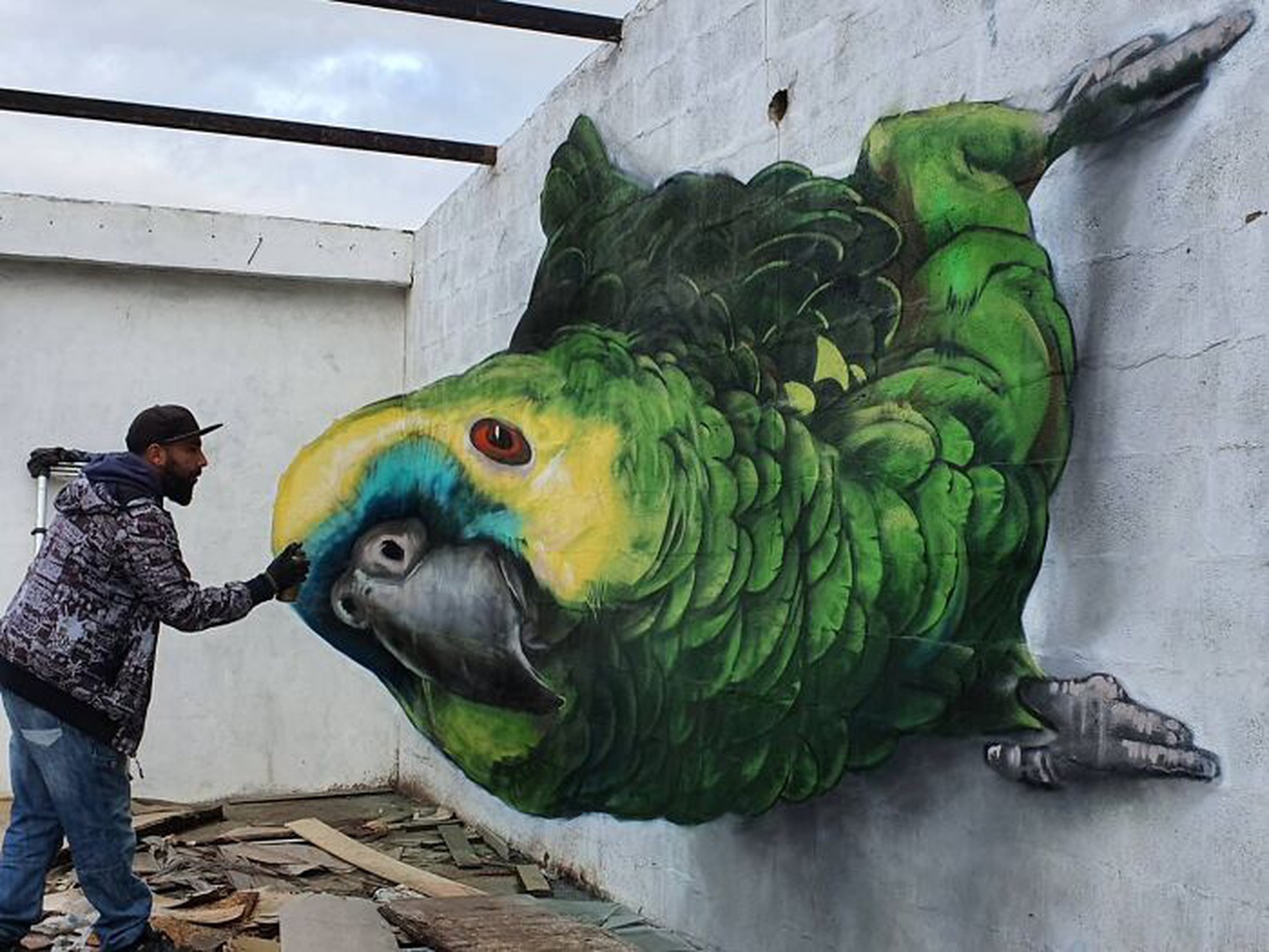 Sergio Odeith có hứng thú với chủ đề động vật, côn trùng trong tác phẩm của mình