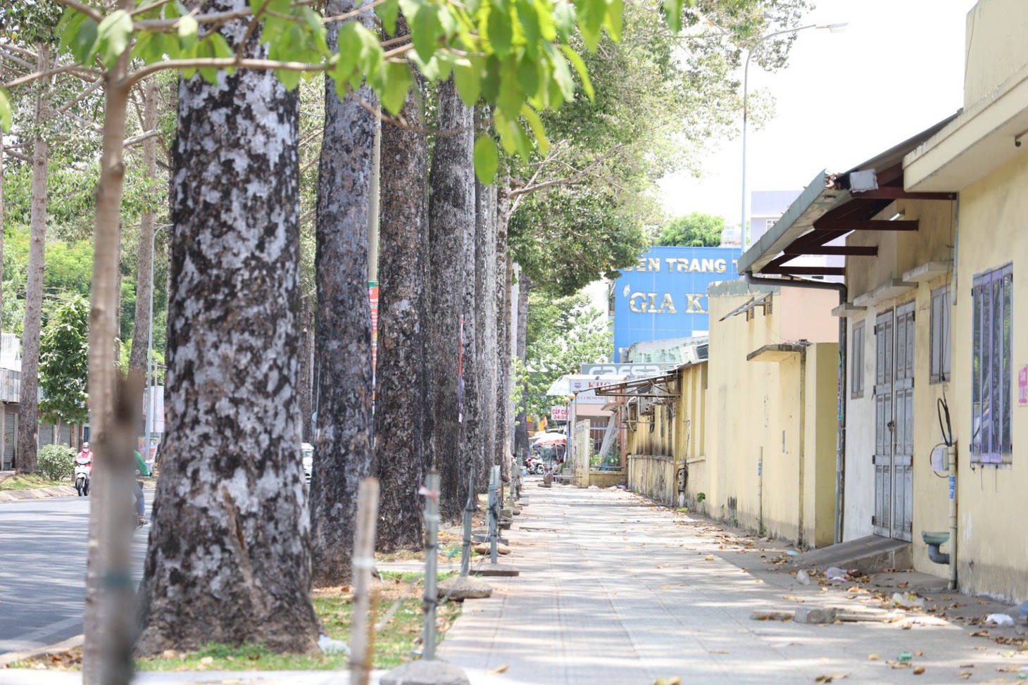 Khu vực hè phố bên hông Bệnh viện Trưng Vương đường Tô Hiến Thành được đề xuất giữ xe thu phí - Ảnh: NGỌC QUÝ