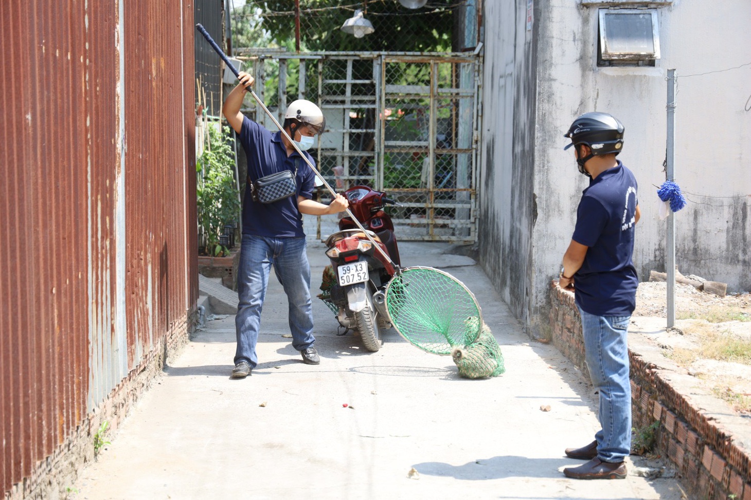 Kể từ khi đội bắt chó thành lập, lượng chó thả rông trên địa bàn đã giảm đáng kể - Ảnh: NGỌC QUÝ