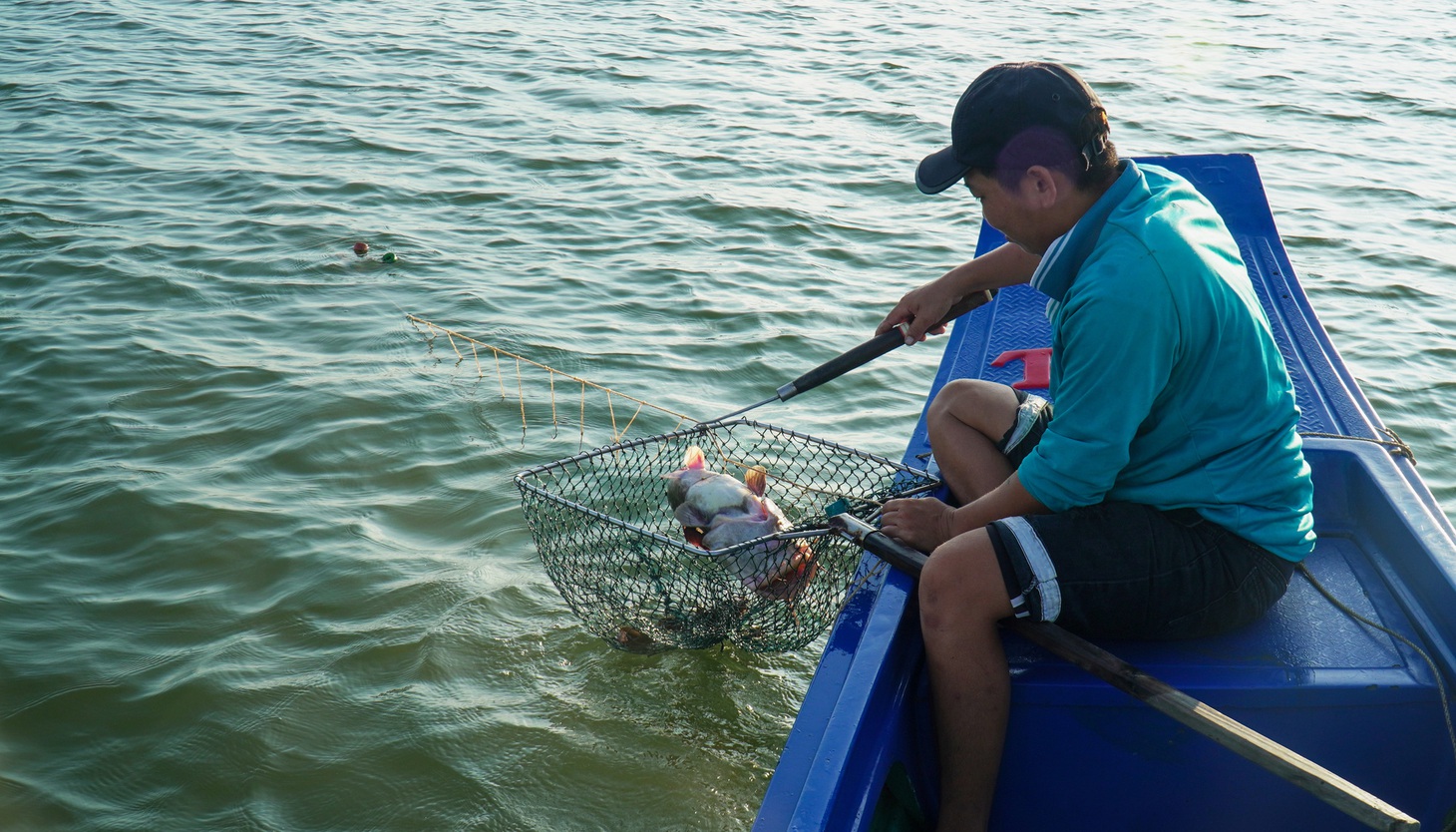  Câu kiều thường bắt được nhiều loại cá da trơn, ghẹ, cua - Ảnh: THANH HUYỀN