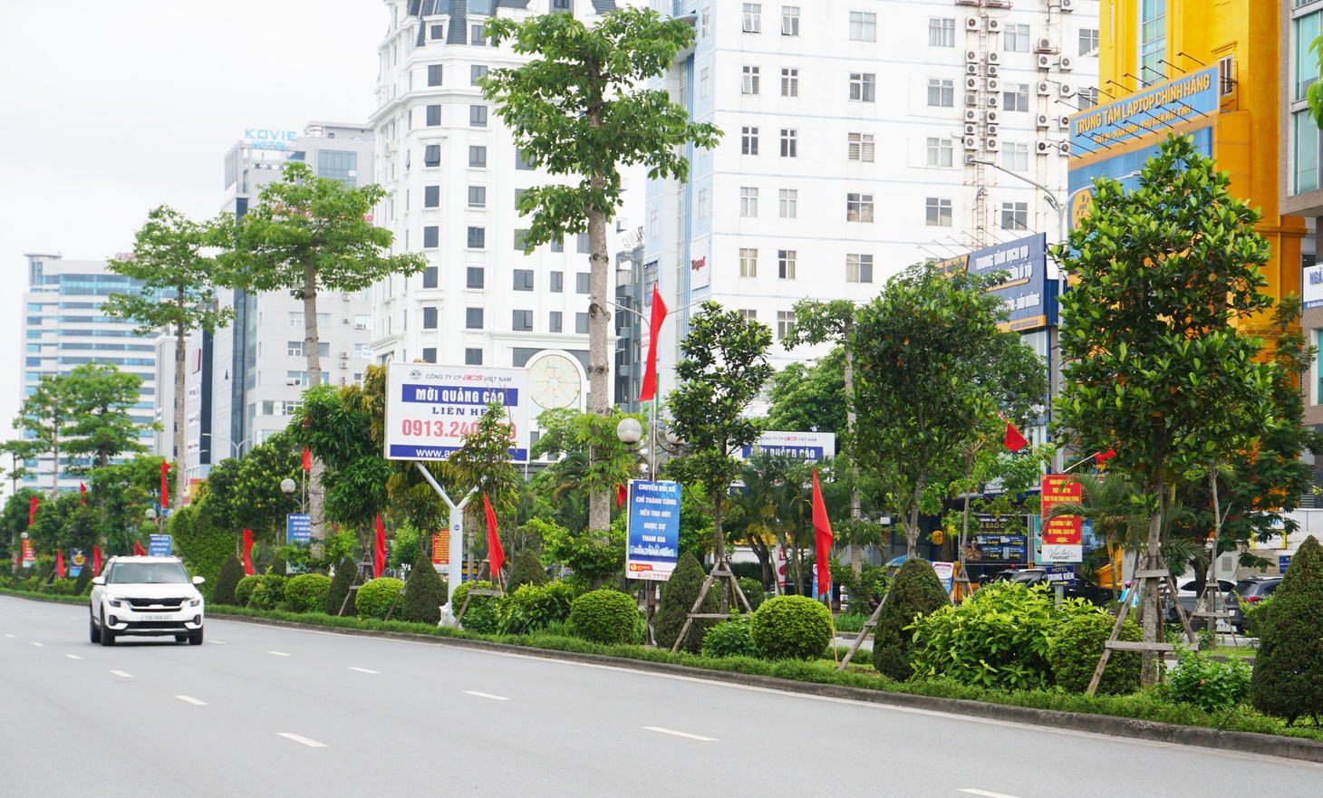 Tuyến phố của Hải Phòng được trồng đa dạng các loại cây xanh giúp tạo nhiều tầng xanh mát - Ảnh: TIẾN THẮNG