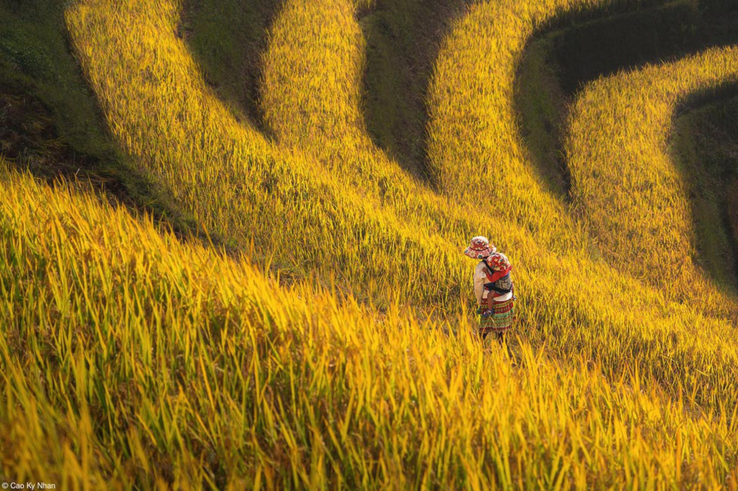 Tác phẩm 