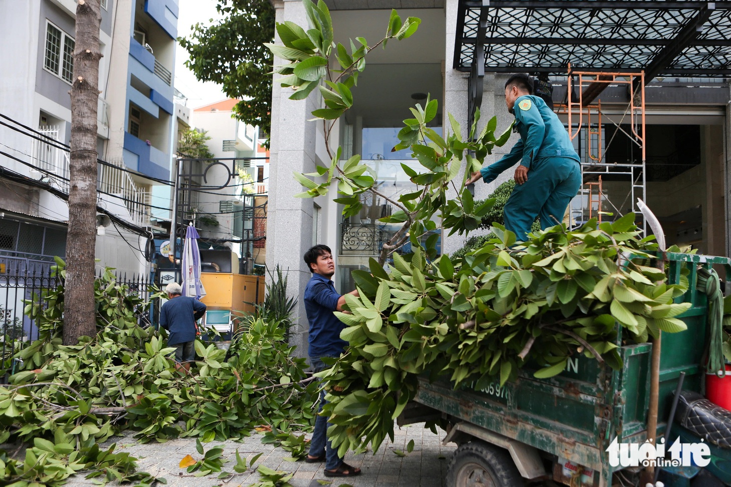 Cây xanh gần đó cũng được tỉa gọn cành để không ảnh hưởng đến mặt bằng dự án
