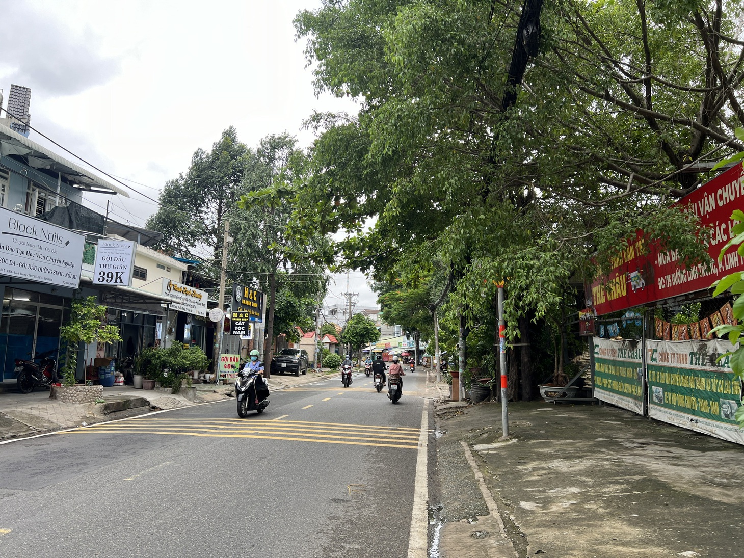 Biển thông báo đường cong về bên trái trên đường Linh Trung khuất sau bóng cây - Ảnh: XUÂN ĐOÀN