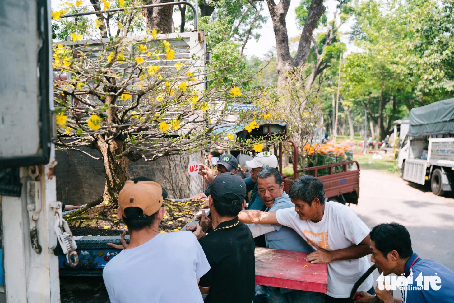 Hoa Tết bắt đầu 'xổ' khắp phố phường - Ảnh 6.