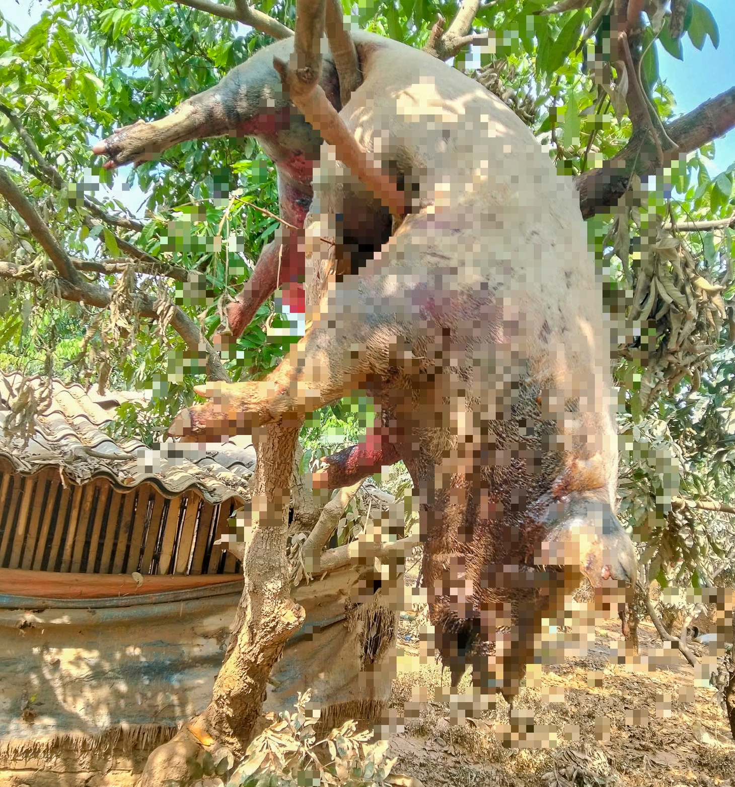 công an - Ảnh 4.