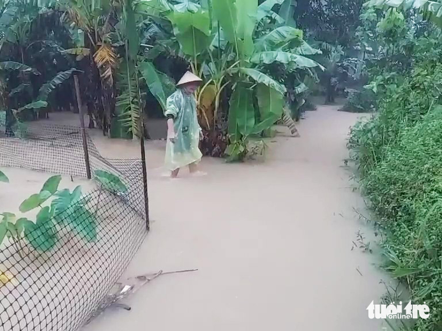 Nước lũ sông Thu Bồn có nơi trên báo động 3, Đà Nẵng tiếp tục mưa lớn hôm nay - Ảnh 8.