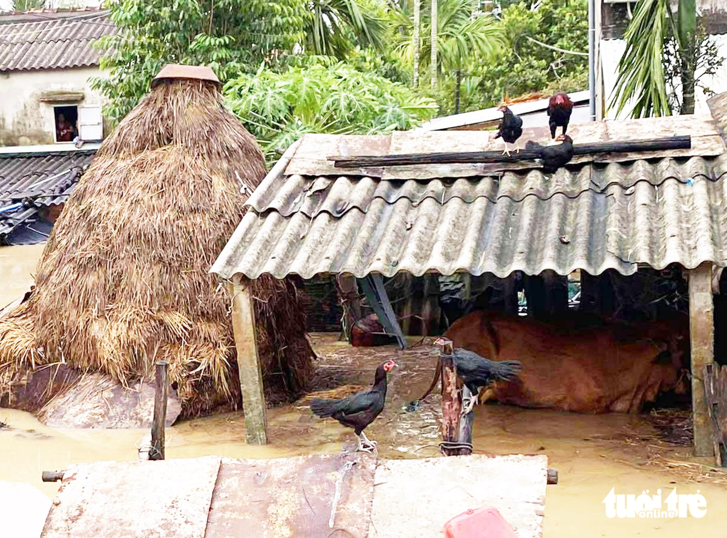 lũ - Ảnh 34.