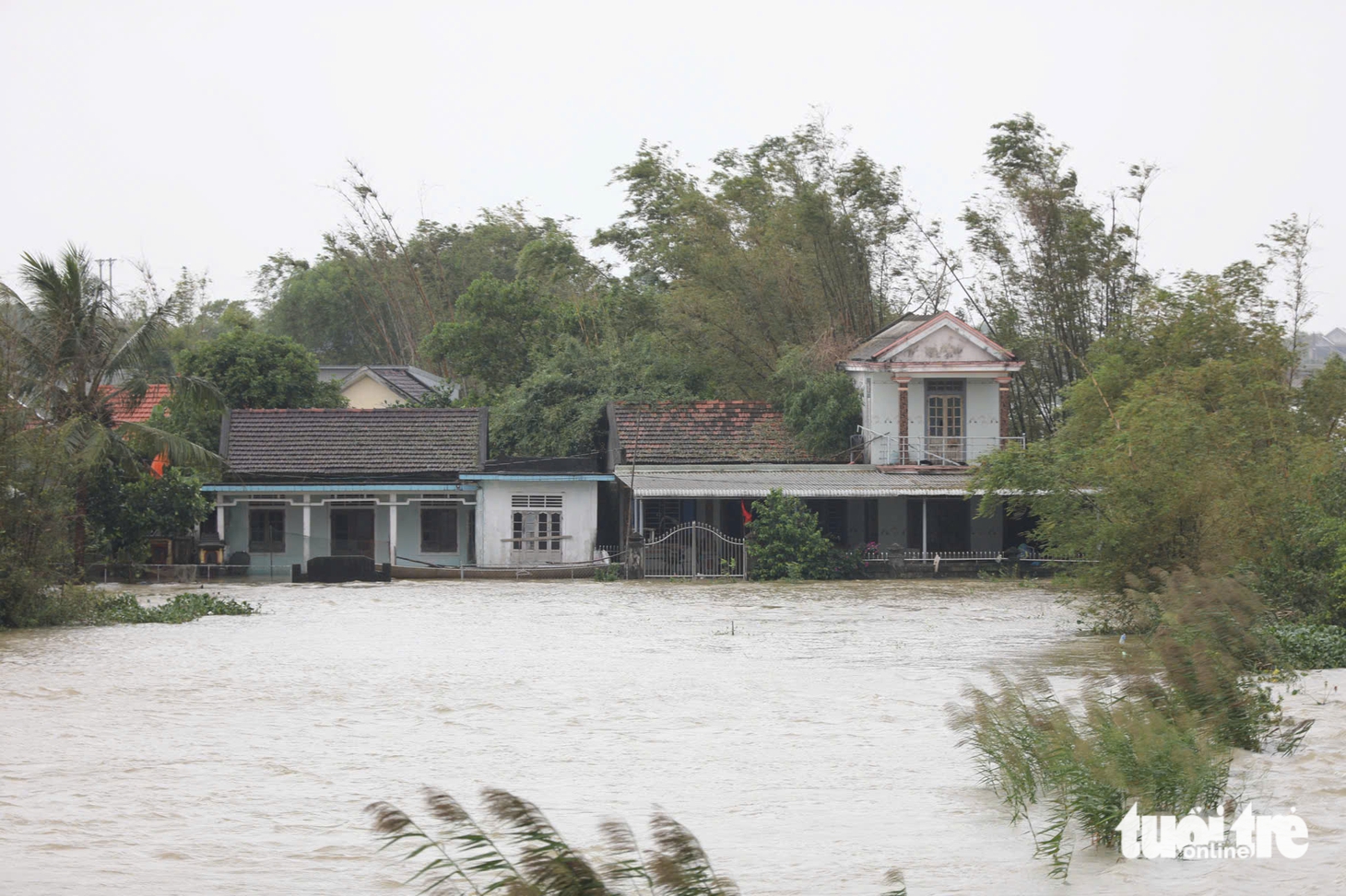 Nước lũ - Ảnh 7.