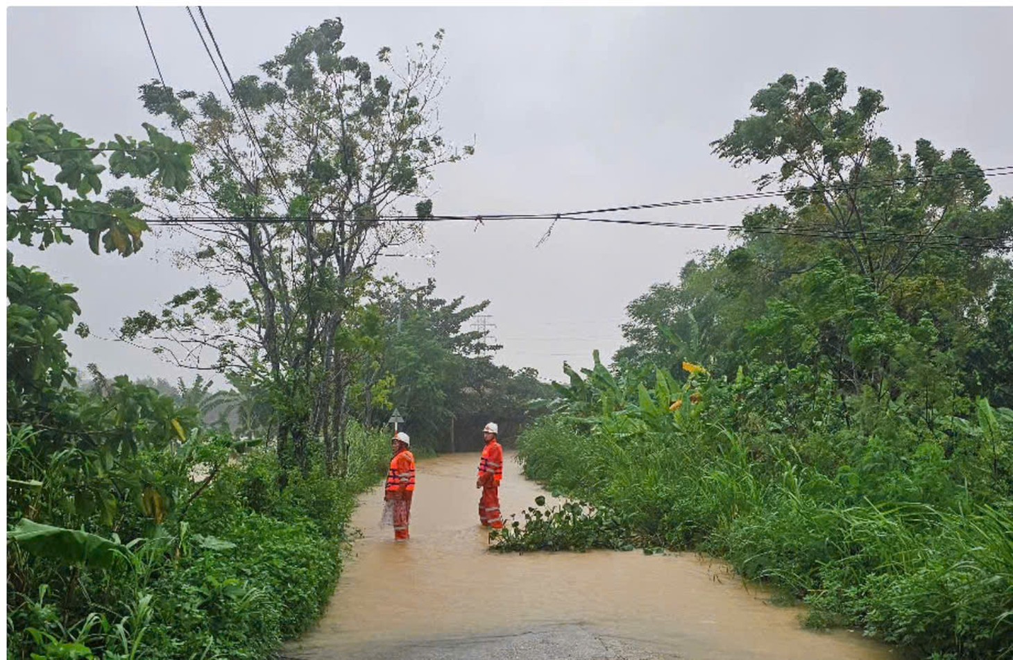 cấp điện - Ảnh 6.