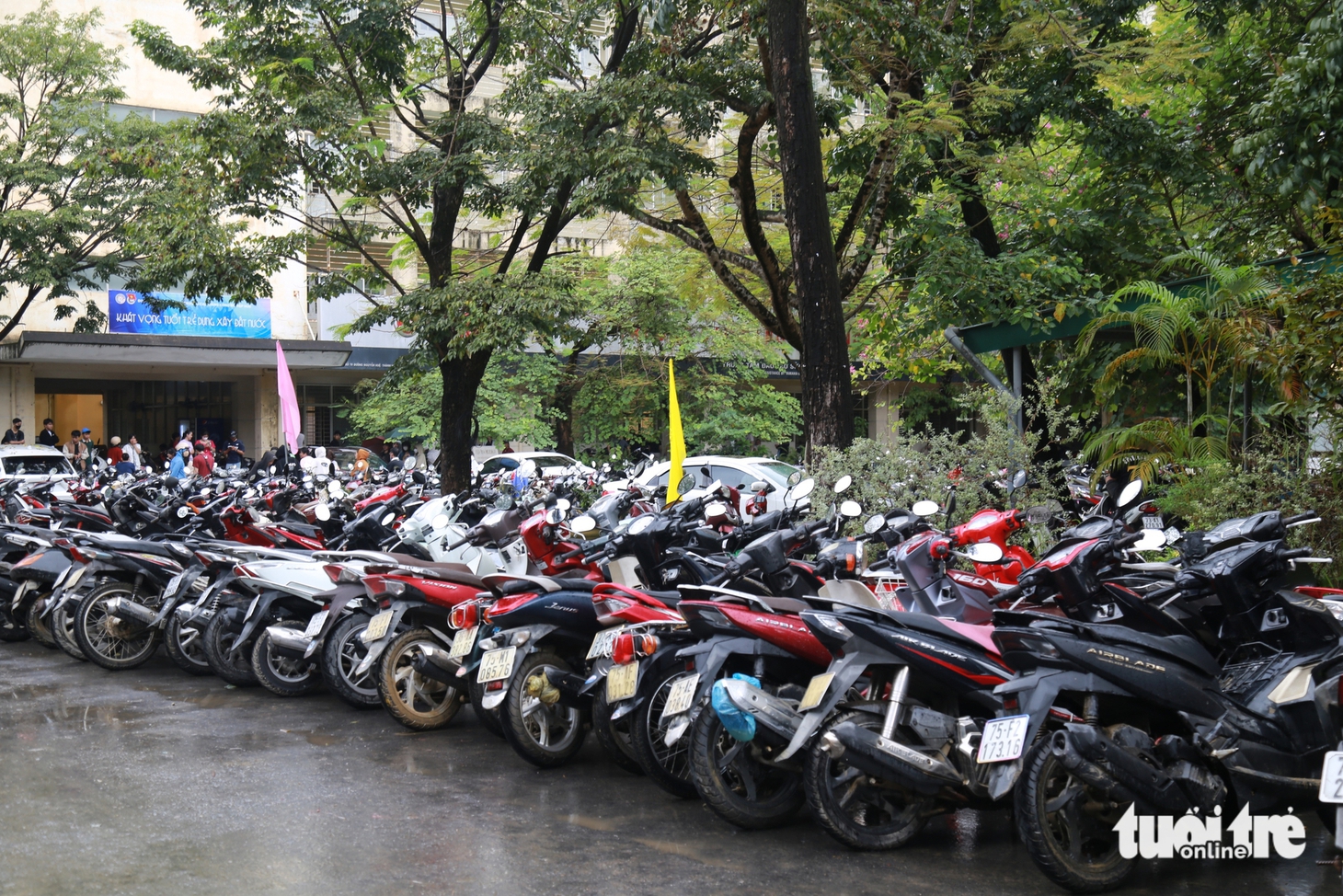 xe máy - Ảnh 11.