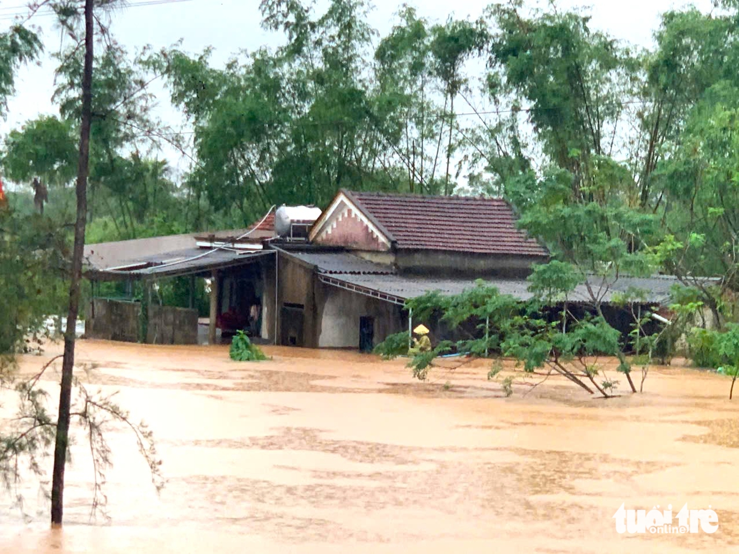 mưa lớn - Ảnh 2.