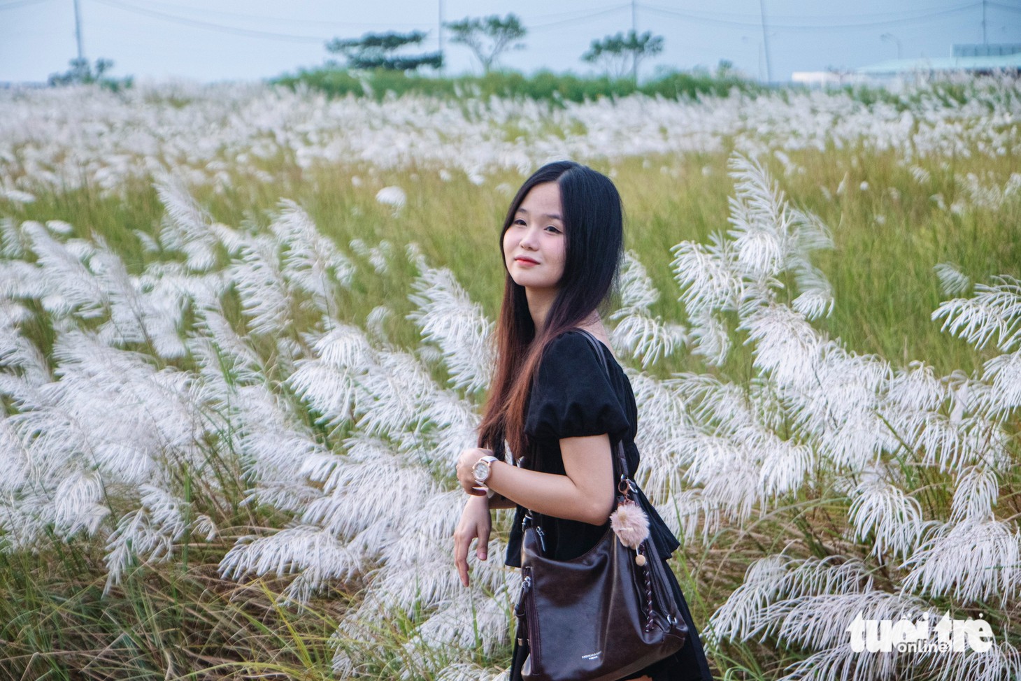 Cỏ lau - Ảnh 9.