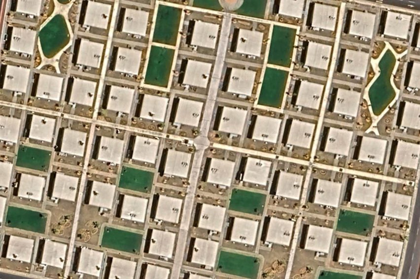 Neom - Ảnh 5.