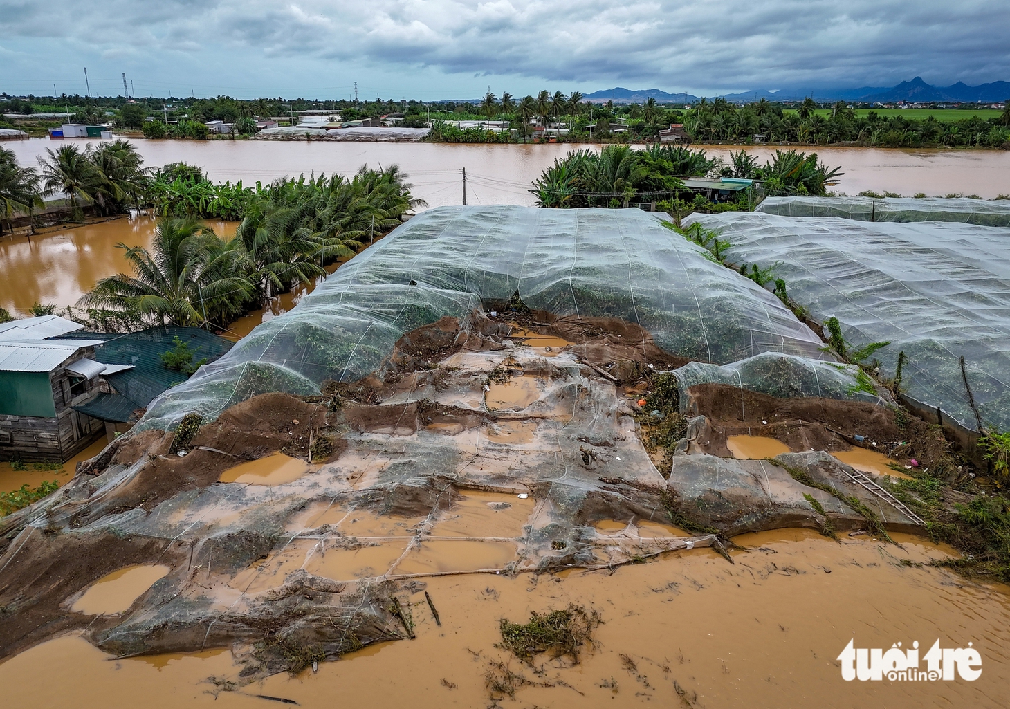 Đàn dê, bò trôi ra sông biển, nước mắt rơi trên dòng lũ Phan Rang - Ảnh 8.