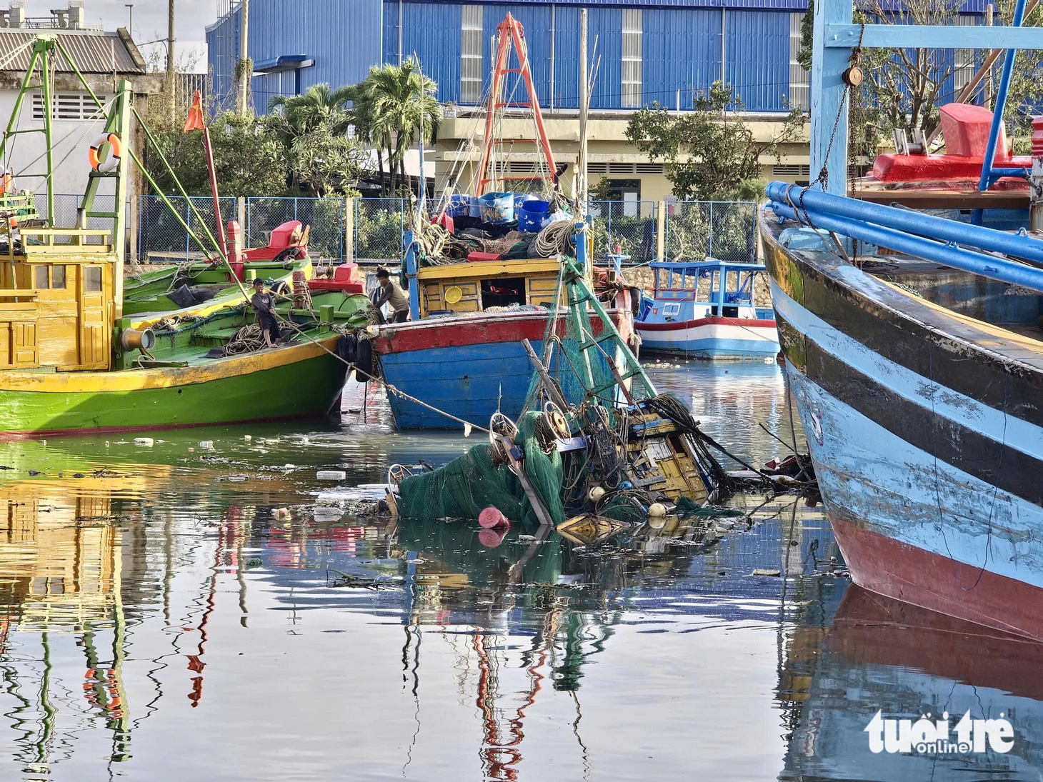 Sau bão Kalmaegi, nhiều nơi ở Quy Nhơn tan hoang, cây cối, trụ điện nằm la liệt- Ảnh 6.