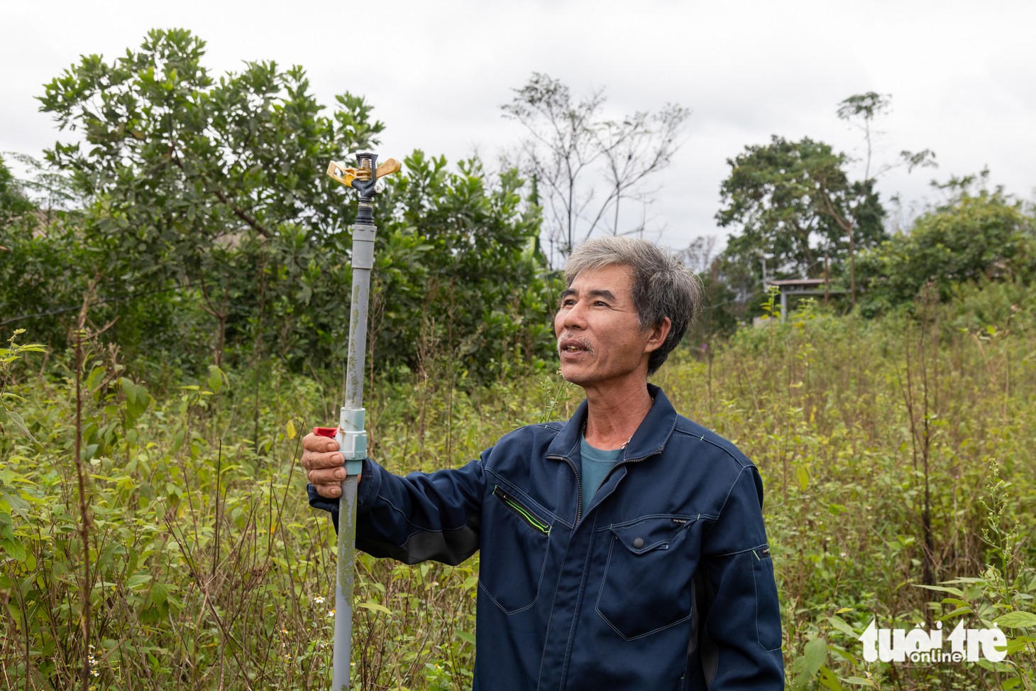 an xoa - Ảnh 3.