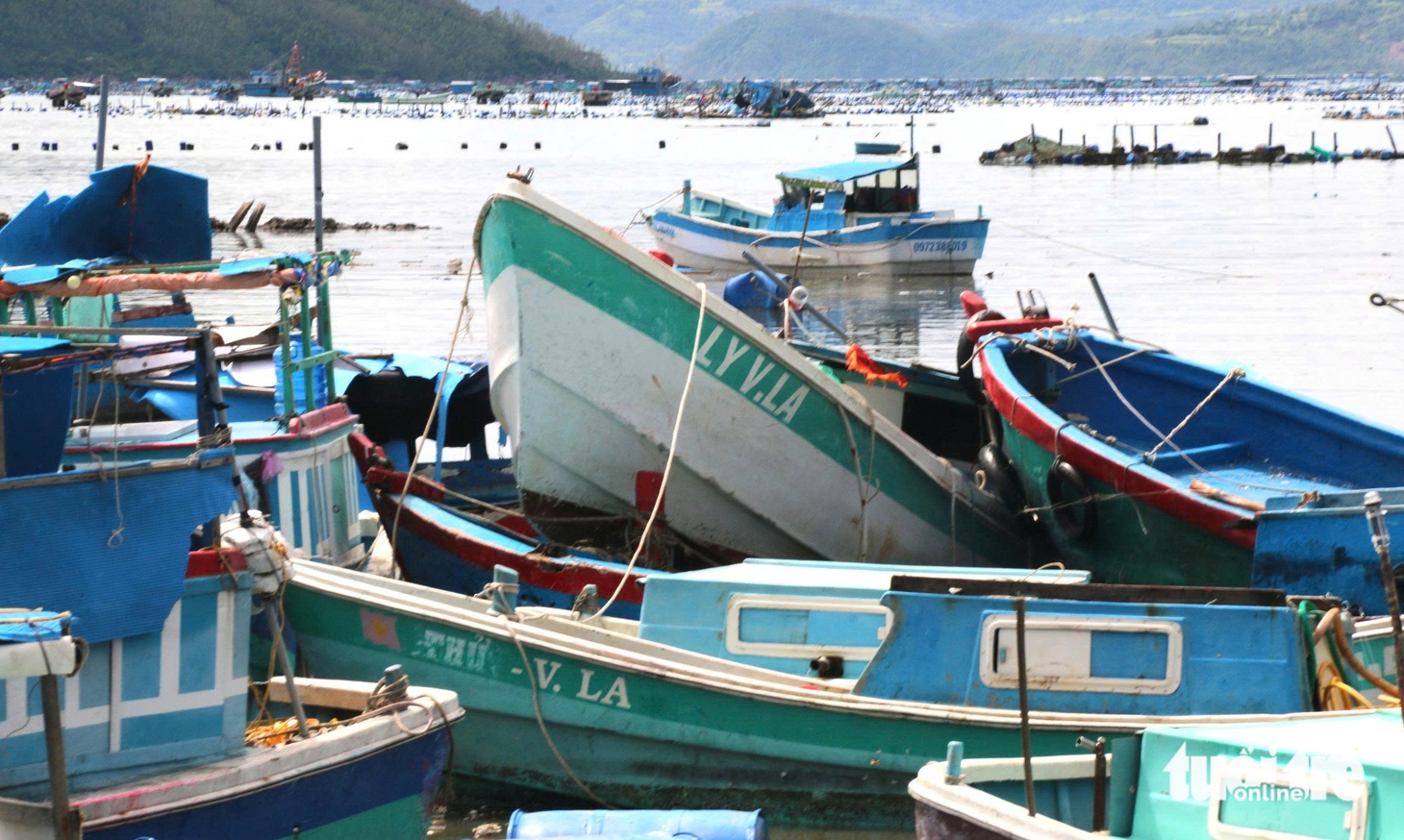 Đắk Lắk - Ảnh 6.