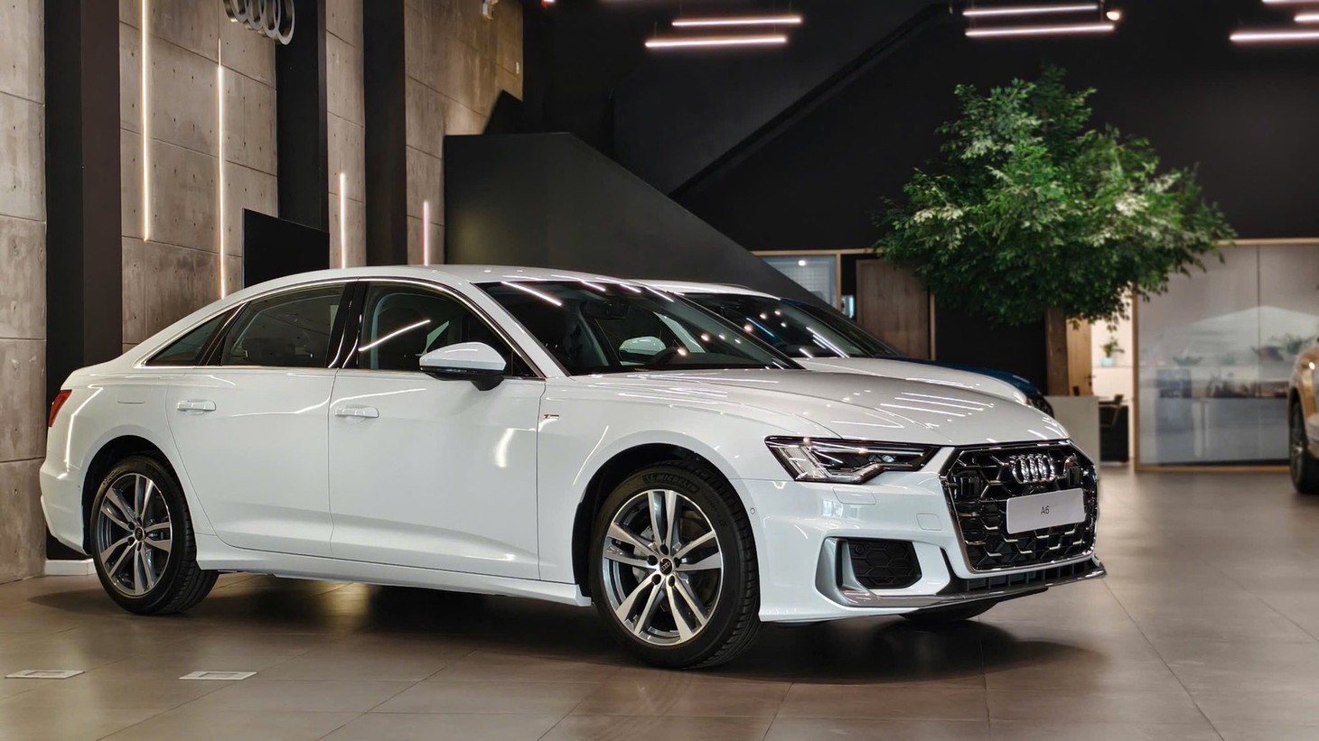 Audi - Ảnh 1.
