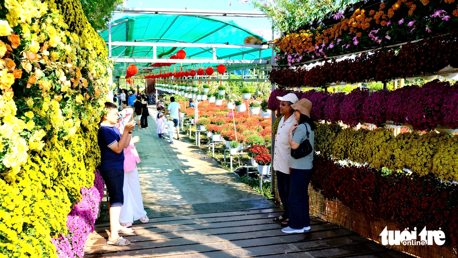 làng hoa Sa Đéc - Ảnh 5.