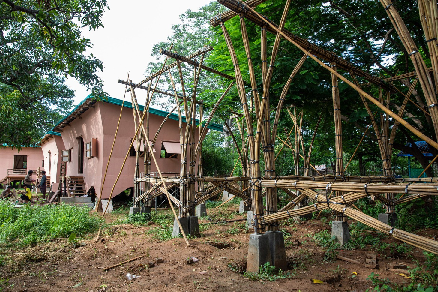 nhà tre - Ảnh 2.