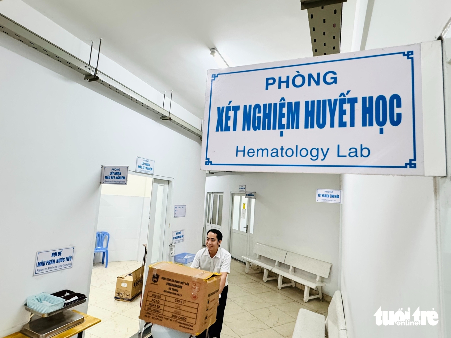y tế - Ảnh 9.