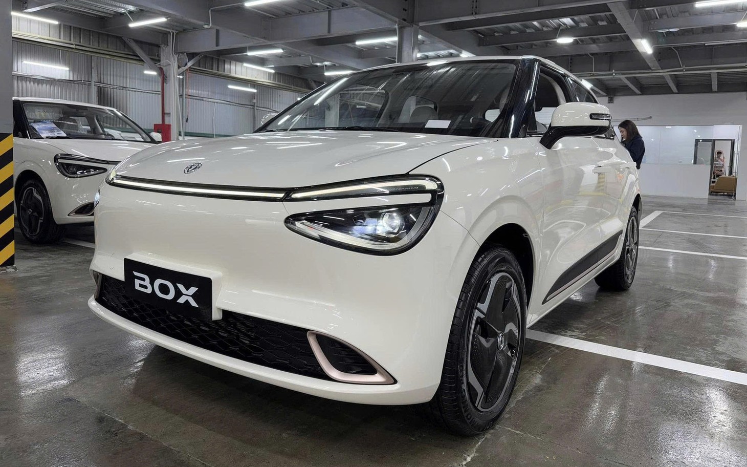 Hàng loạt xe điện ồ ạt đổ bộ Việt Nam năm 2025 - Ảnh 9.
