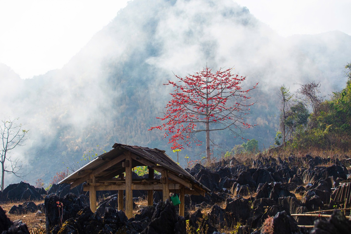 Hoa ban nở trắng trời Nặm Cứm - Ảnh 7.