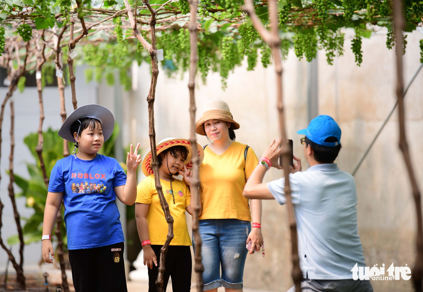 Cuối tuần, trải nghiệm vườn nho, nông trại xanh giữa lòng thành phố - Ảnh 4.